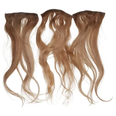 Extensions (Bruin) van Rapunzel of Sweden
