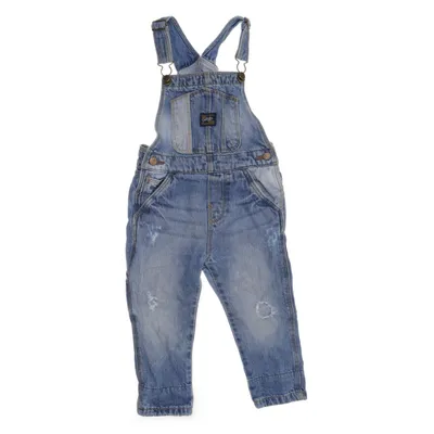 Tuinbroek (Blauw) van Zara BabyBoy Katoen
