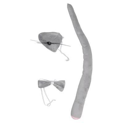 Kostuum accessoires (Grijs, Roze)