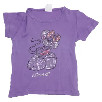 T-shirt (Lila) van Diddl Katoen