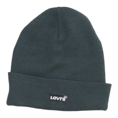 Beanie (Green) from Levi Strauss & Co Acrylic