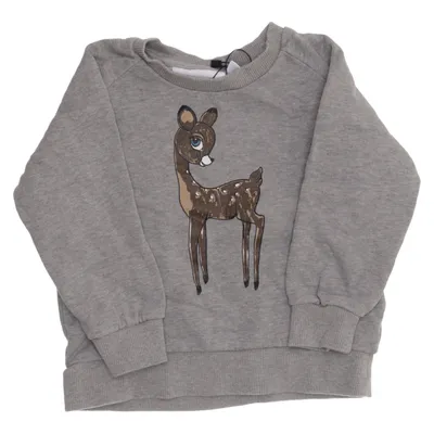 Collegetröja (Grå) från Mini Rodini Bomull