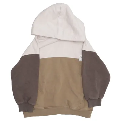 Hoodie (Beige, Brown) from Zara Cotton, Polyester