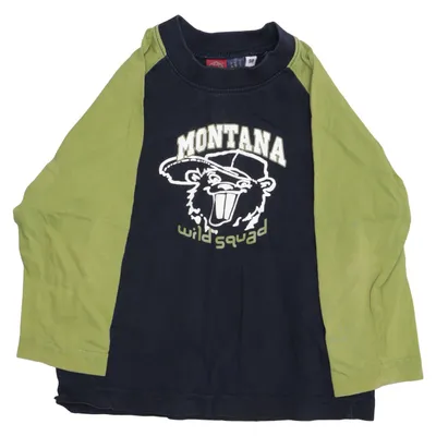 Long sleeve T-shirt (Blue, Green) from Boys Planet by Lindex Cotton