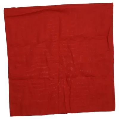 Cushion cover (Red) from Jotex Cotton