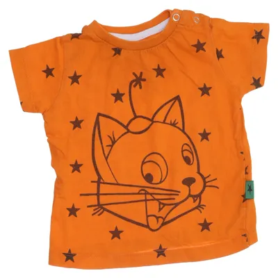 T-shirt (Orange, Svart) från Pettson och Findus Bomull