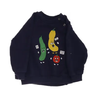 Sweatshirt (Blue, Multicolored) from Mini Rodini Cotton
