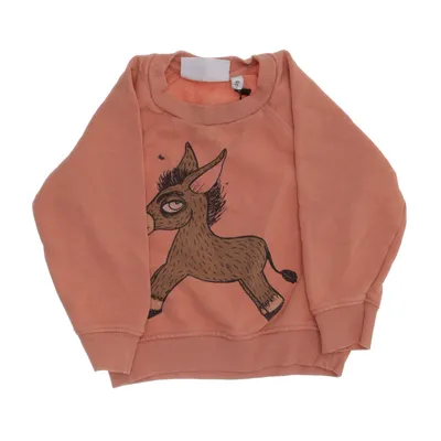Sweatshirt (Pink) fra Mini Rodini Økologisk bomuld