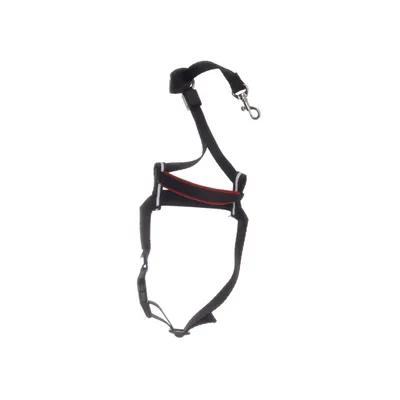 Hundsele (Svart, Röd) från Halti