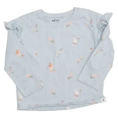 Långärmad t-shirt (Blå, Flerfärgad) från Next Bomull