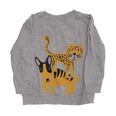 Sweatshirt (Grijs, Meerkleurig) van Zara BabyBoy Katoen, Viscose