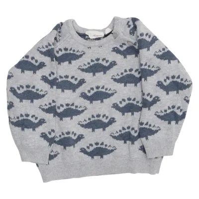Pull-over (Gris, Bleu) de Sense Organics Coton