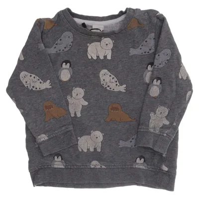 Collegetröja (Grå, Flerfärgad) från H&M Baby Bomull