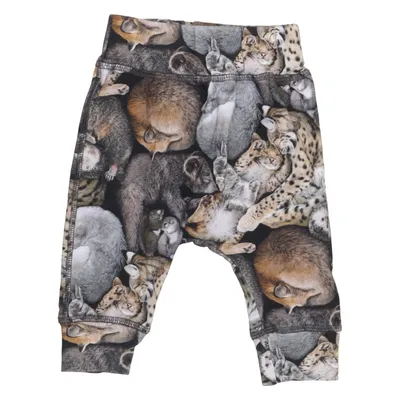 Pants (Brown, Gray, Multicolored) from Molo Elastane, Organic cotton