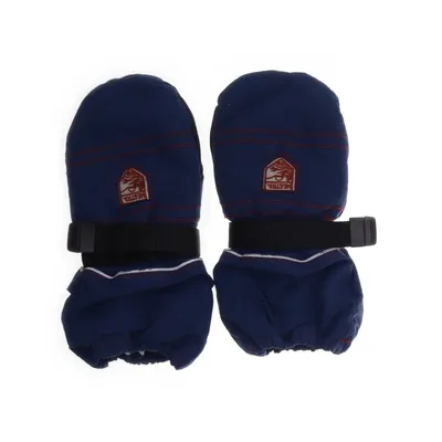 Mittens (Blue) from Hestra Polyamide, Wool