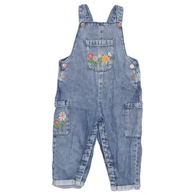 Dungarees (Blue, Multicolored) from Next Cotton
