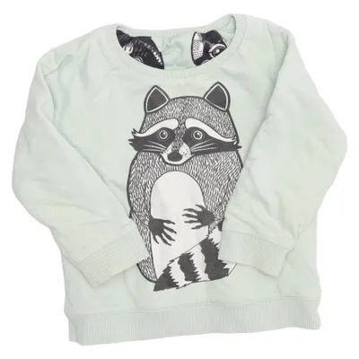 Sweatshirt (Vert, Multicolore) de Filemon Kid Coton biologique