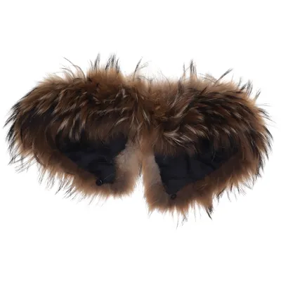 Collar (Brown, Beige, Black)