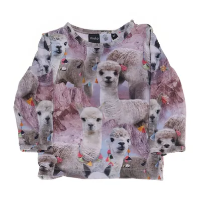 Long sleeve T-shirt (Gray, Multicolored) from Molo