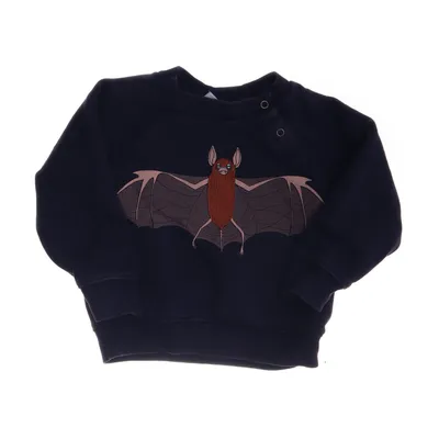 Sweatshirt (Blauw) van Mini Rodini Organisch katoen