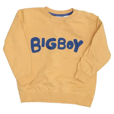 Sweatshirt (Geel, Blauw) van Zara BabyBoy Katoen