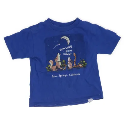 T-shirt (Blå) från Delta Pro Weight Bomull