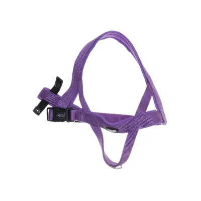 Dog harness (Purple) from Nobby