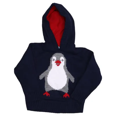 Hoodie (Blue, Multicolored) from Orchestra Acrylic