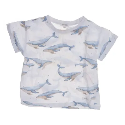 T-shirt (Vit, Blå, Brun) från Newbie by KappAhl Bomull