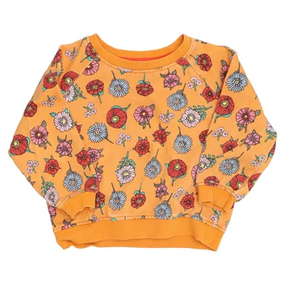 Sweatshirt (Brun, Flerfarvet) fra Minimarket Økologisk bomuld