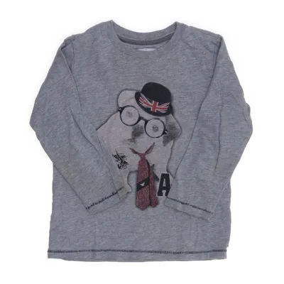 Långärmad t-shirt (Grå) från Armani Junior Bomull