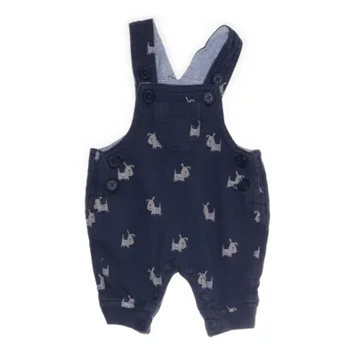 Dungarees (Blue) from Next Baby