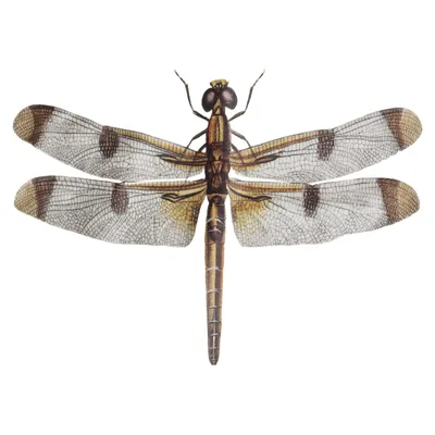 Kuddfodral (Beige) från Vanilla Fly