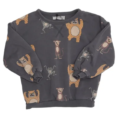 Sweatshirt (Gray, Multicolored) from Minimarket Cotton, Polyester