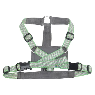 Harnais pour chien (Vert, Gris) de Metizo
