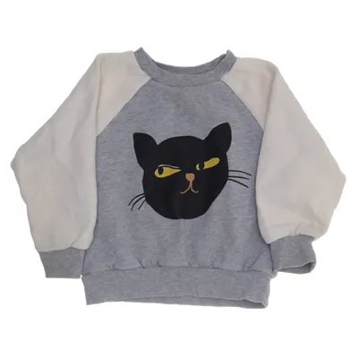 Sweatshirt (Gray, Beige, Multicolored) from Mini Rodini Organic cotton