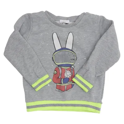 Sweatshirt (Gray, Multicolored) from Livly Cotton, Polyester