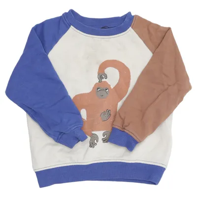 Collegetröja (Blå, Beige, Brun) från Mini Rodini Bomull