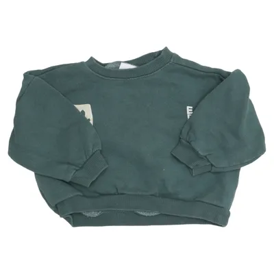 Sweatshirt (Groen) van Zara Baby