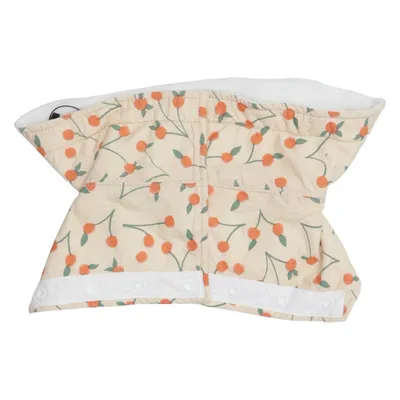 Collar (Clementine) from Ergobaby