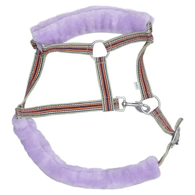 Licol (Violet, Multicolore) de Pony