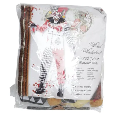 Udklædning (Twisted Joker) fra Winter Wonderland