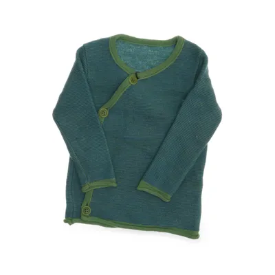 Cardigan (Blauw, Groen, Meerkleurig) van Disana Wol