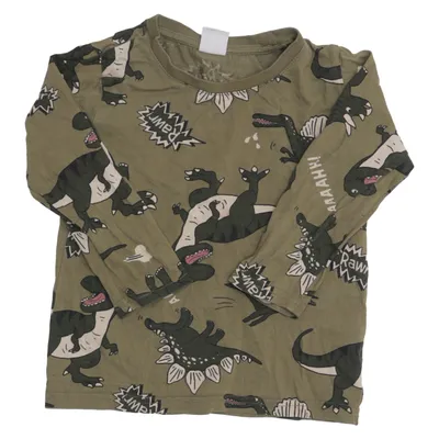 Lange mouwen shirt (Groen, Beige) van Lindex Kids Katoen