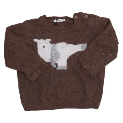 Pull-over (Marron) de Coccodrillo Cachemire, Laine de mouton, Polyester recyclé, Viscose