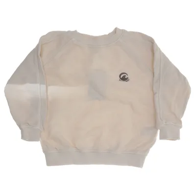 Sweatshirt (Beige) from Zara
