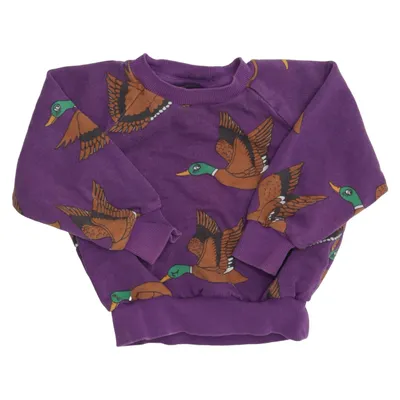 Sweatshirt (Purple, Multicolored) from Mini Rodini Cotton