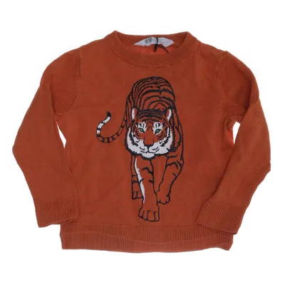 Trui (Oranje, Meerkleurig) van H&M Kids Katoen