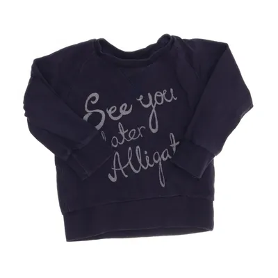 Sweatshirt (Lila) van Mini Rodini Organisch katoen