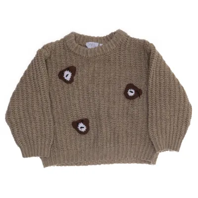 Trui (Bruin) van Zara Acryl